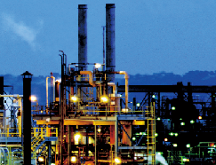 20220430063238833644996